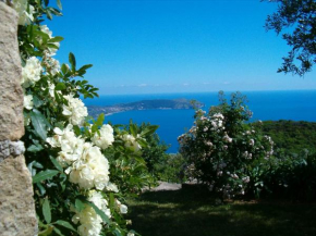 Pietra Fiorita